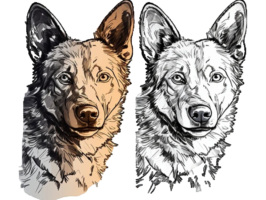 Vector Conversion Service: Your Ultimate Solution for Clean, Scalable, and Print-Ready Designs