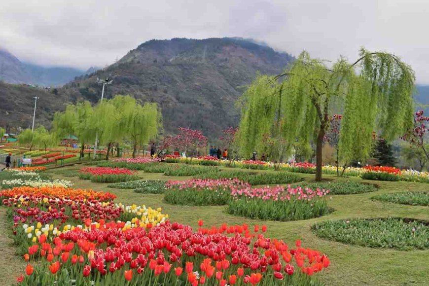 Best Guide for Srinagar Local Sightseeing in One Trip