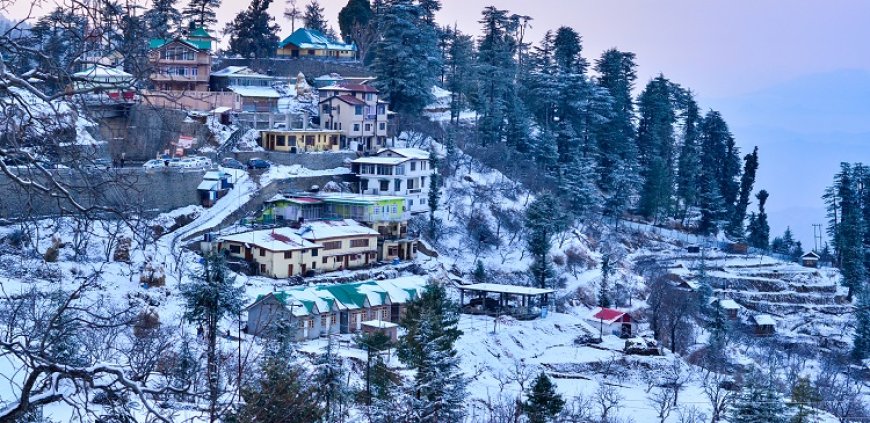 Affordable and Best Shimla Tour Package for Unforgettable Trips