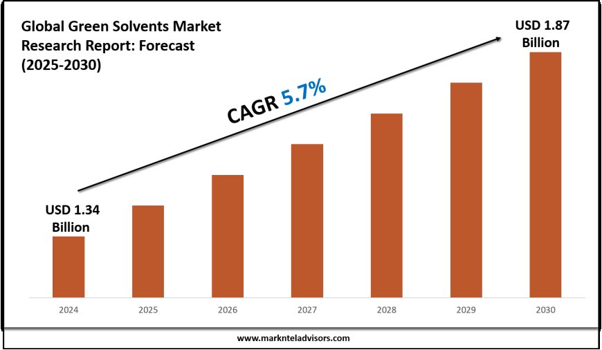 Green Solvents Market Forecast 2025–2030: Key Players, Trends & Outlook