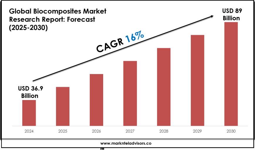 Biocomposites Market Forecast 2025–2030: Key Players, Trends & Outlook