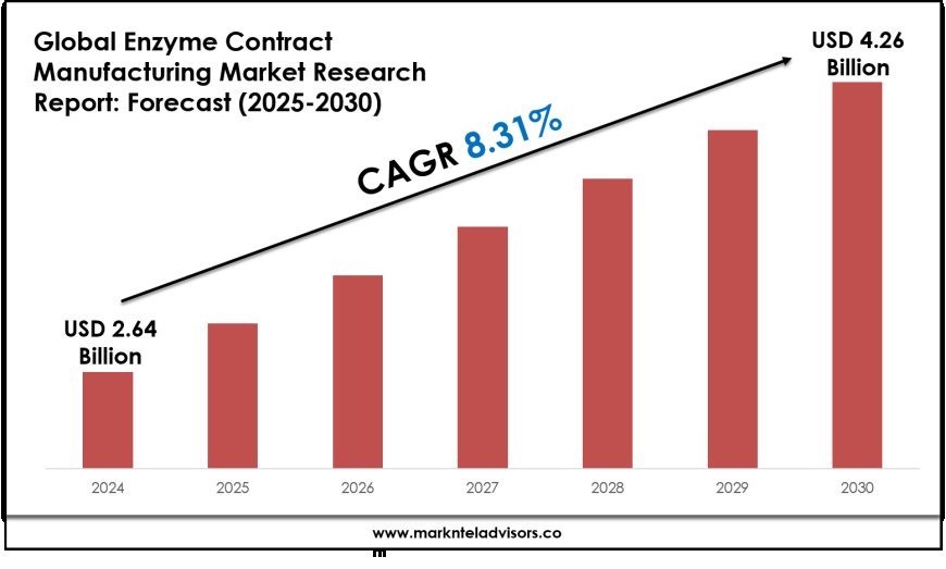 Enzyme Contract Manufacturing Market Forecast 2025–2030: Key Players, Trends & Outlook