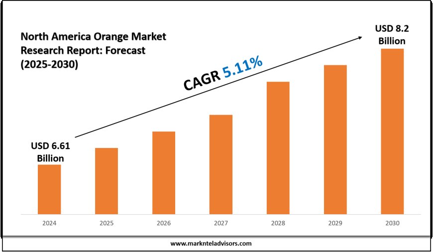 North America Orange Market Revenue Set to Hit USD 8.2 Billion by 2030