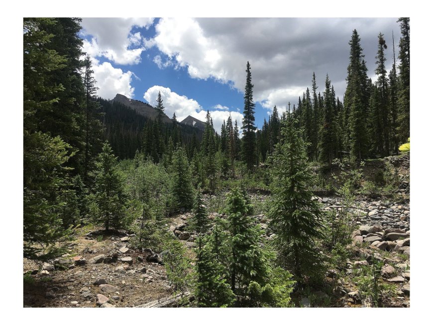 The Benefits of Relocating to Colorado