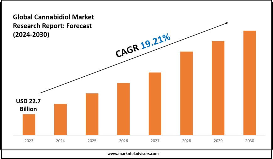 Cannabidiol Market Forecast 2024–2030: Key Players, Trends & Outlook