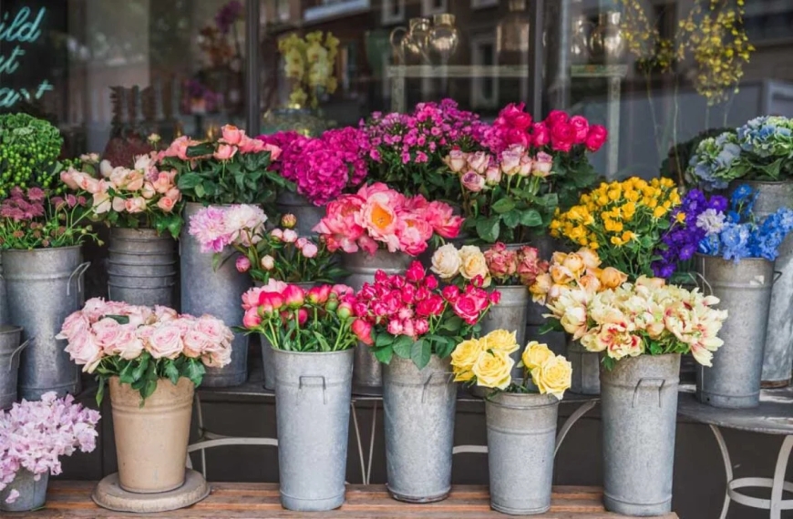 Present Your Beloved with a Single Pink Rose from Flowers Mart