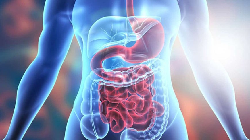 Common Digestive Problems and How to Prevent Them