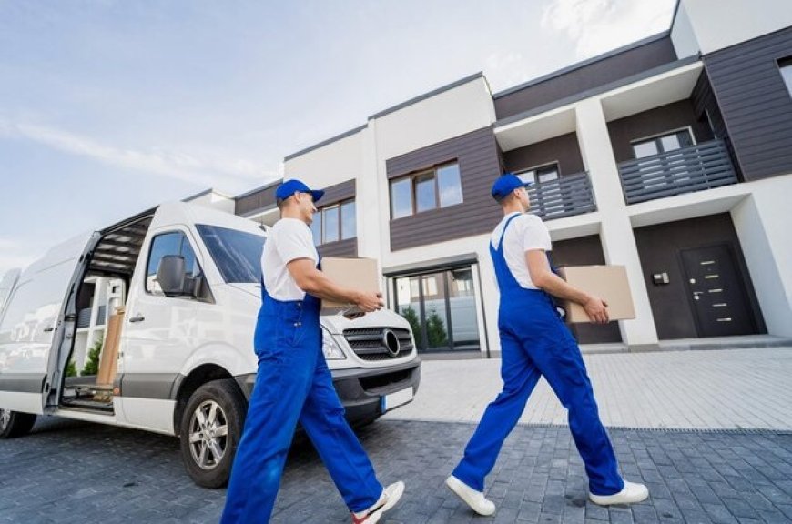Top-Rated Removal Companies Near Me – House Movers