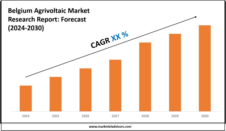 Italy Agrivoltaic Market Size, Share and Competitive Insight Report 2030