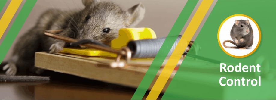 Brooklyn Rodent Control: Fast Removal & Long-Term Proofing That Works